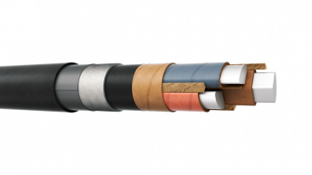 ЦАСБлШв 3x95